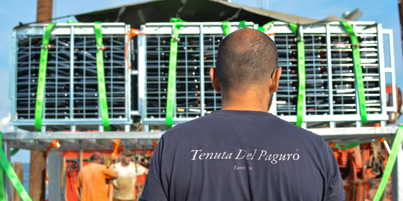 WBSS_Tenuta_Del_Panugato_article